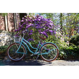 Priority Bicycles logo